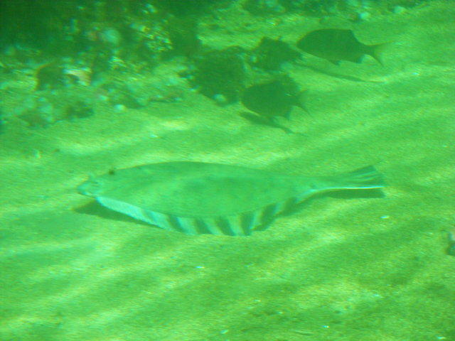 Seattle Aquarium