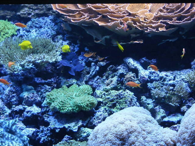 Seattle Aquarium