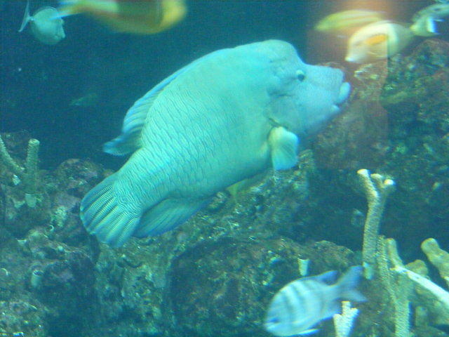 Seattle Aquarium