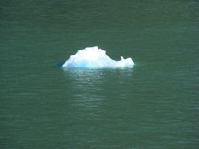 DSCF3378