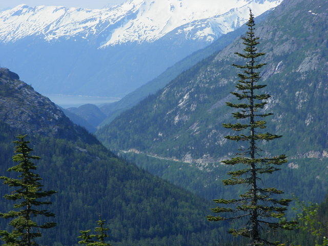 DSCF3449
