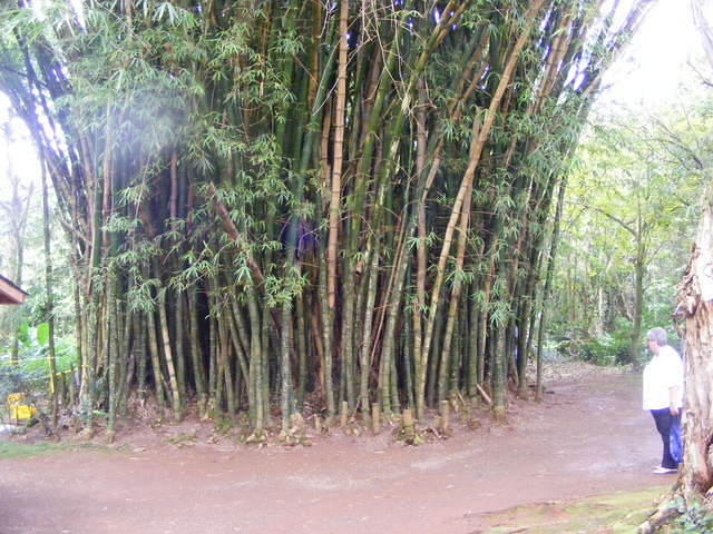 Valley of the Temples - Oahu