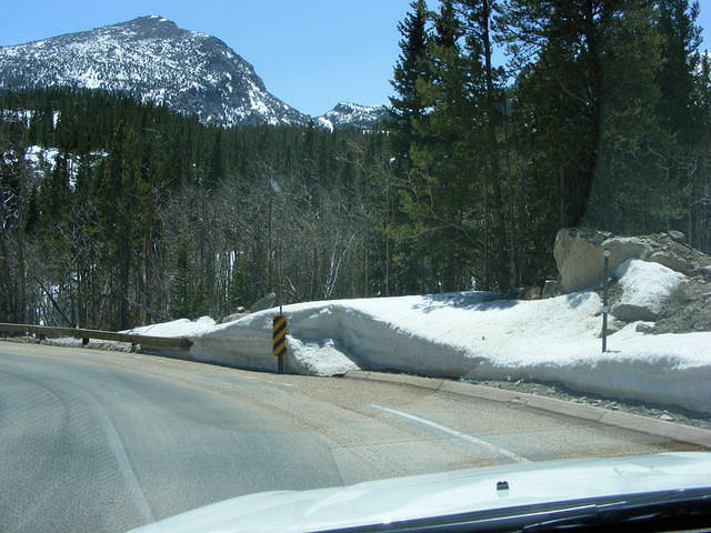 Spring Snow - Rocky Mountain Park, CO