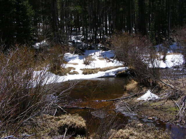 Rocky Mountain Park, CO