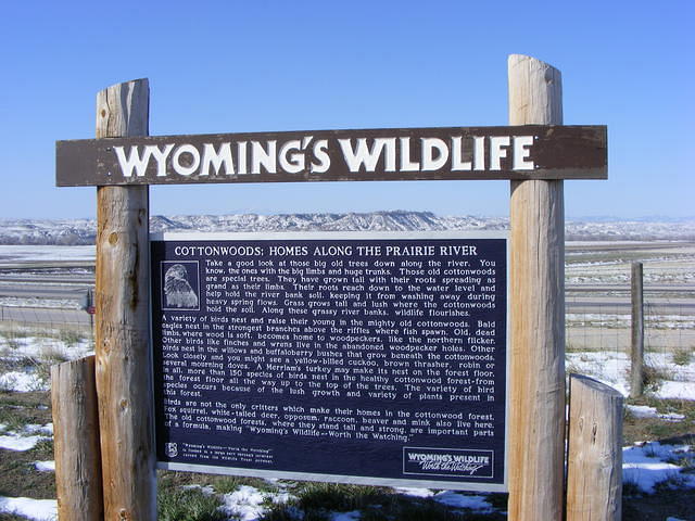 Wyoming Plains