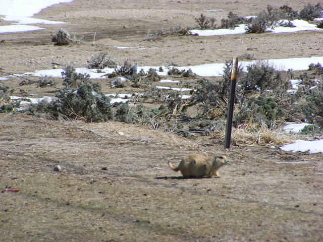 Casper, WY