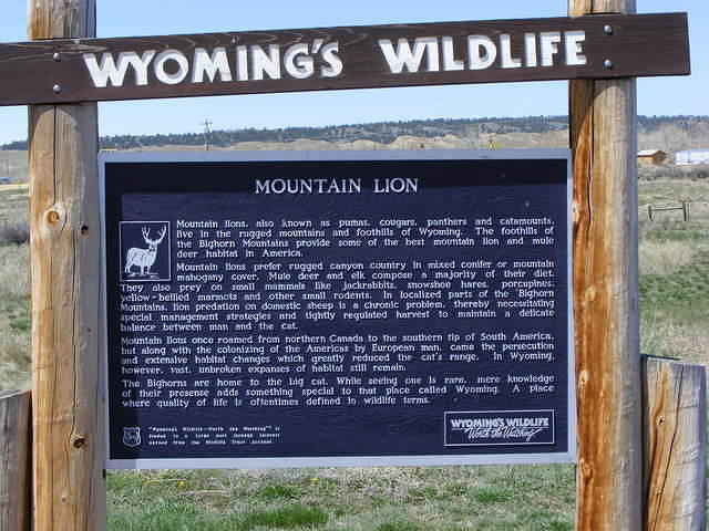 Wyoming