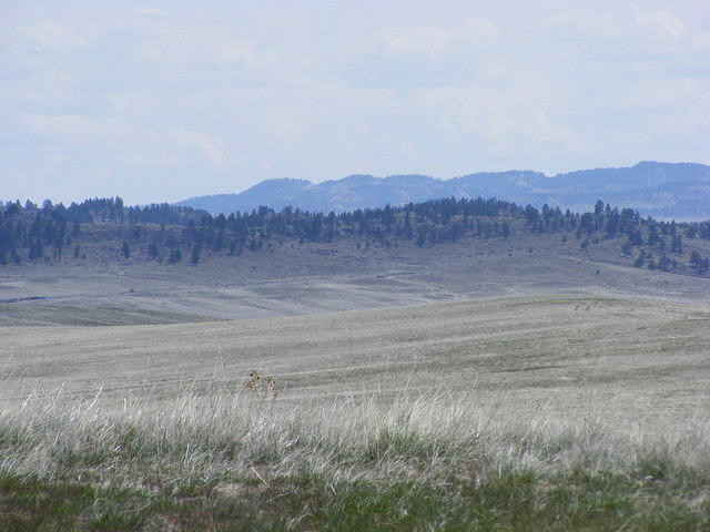 Little Big Horn National Monument, MT