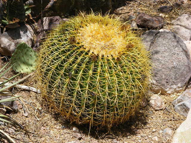 Colossal Caves, Tucson AZ