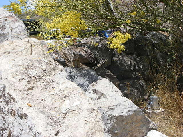 Colossal Caves, Tucson AZ