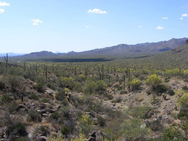West Tucson AZ