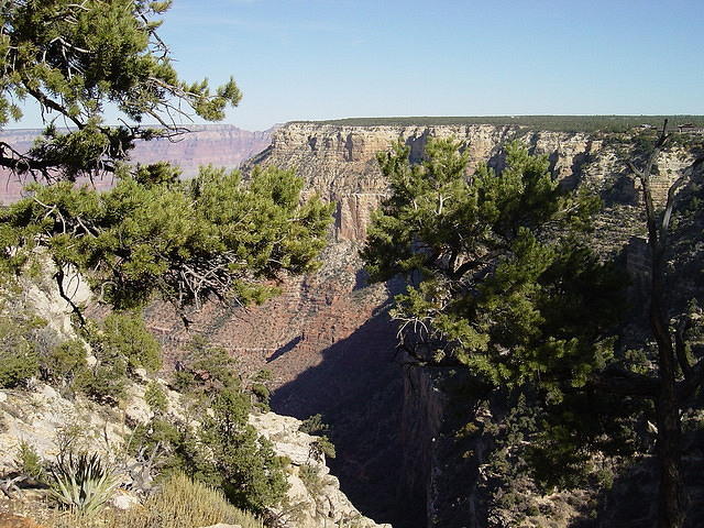 Grand Canyon