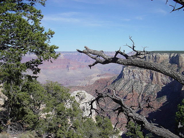 Grand Canyon