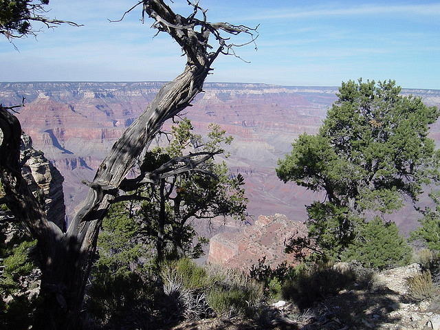 Grand Canyon