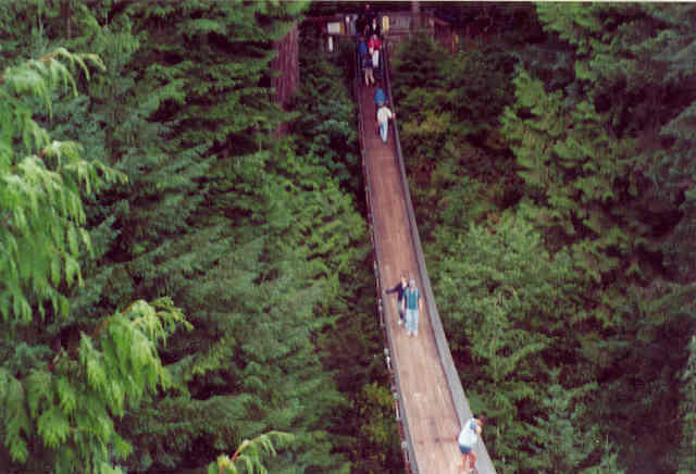 Capilano Bridge - Vancouver