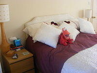 DSCF0988.JPG