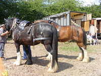 DSCF1040.JPG