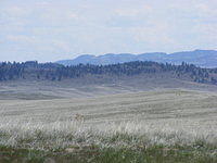 Little Big Horn National Monument, MT