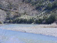 Yellowstone River, MT