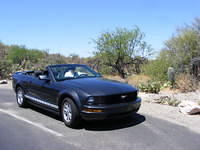 Mr Ed in Saguaro NP, Tucson