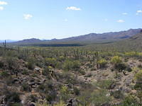 West Tucson AZ